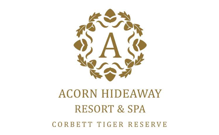 Acorn Resort Corbett